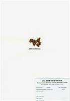 藏品(旋花藻)的圖片